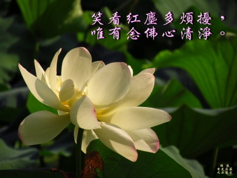 印光大師：怕鬼及有怨業病該怎麼辦