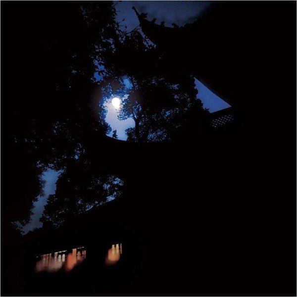 心靈深處的菩提樹，誰是你的有緣人